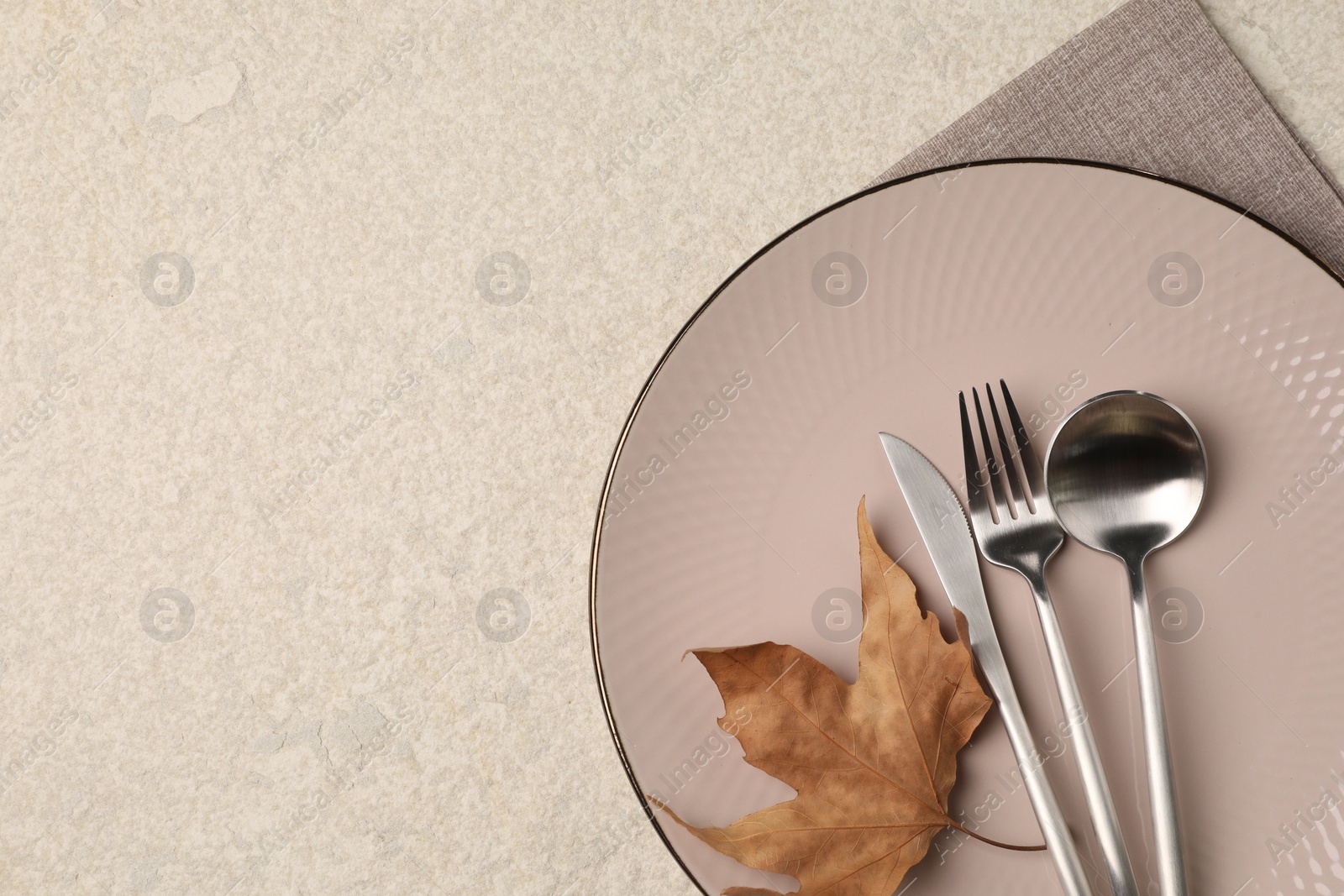 Photo of Stylish table setting with cutlery and dry leaf on light surface, top view. Space for text