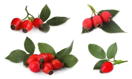 Image of Set with ripe rose hip berries on white background 