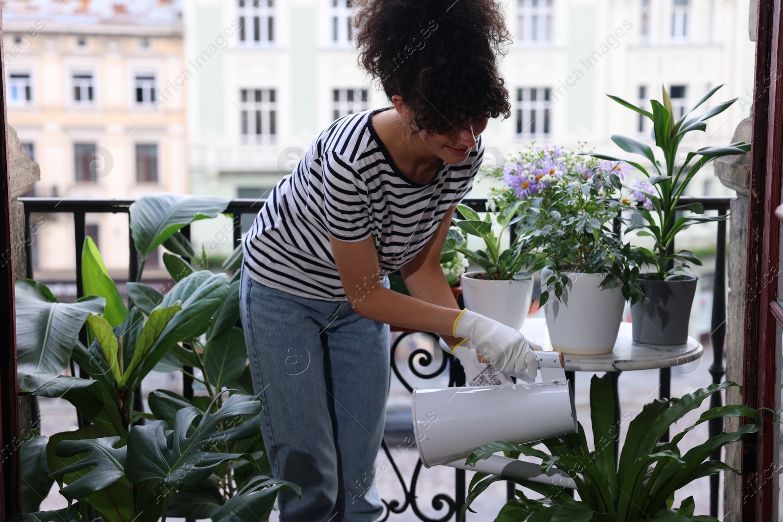 Photo of Young woman watering green potted houseplants on balcony