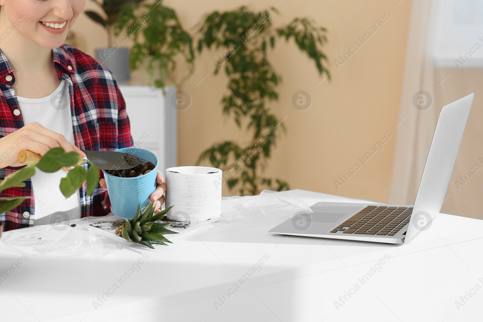 Photo of Woman taking care of plant following online gardening course at home, closeup. Space for text