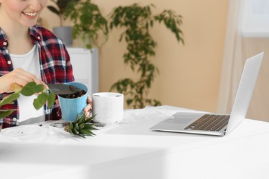 Photo of Woman taking care of plant following online gardening course at home, closeup. Space for text