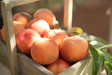 Photo of Wooden basket with ripe peaches outdoors, closeup