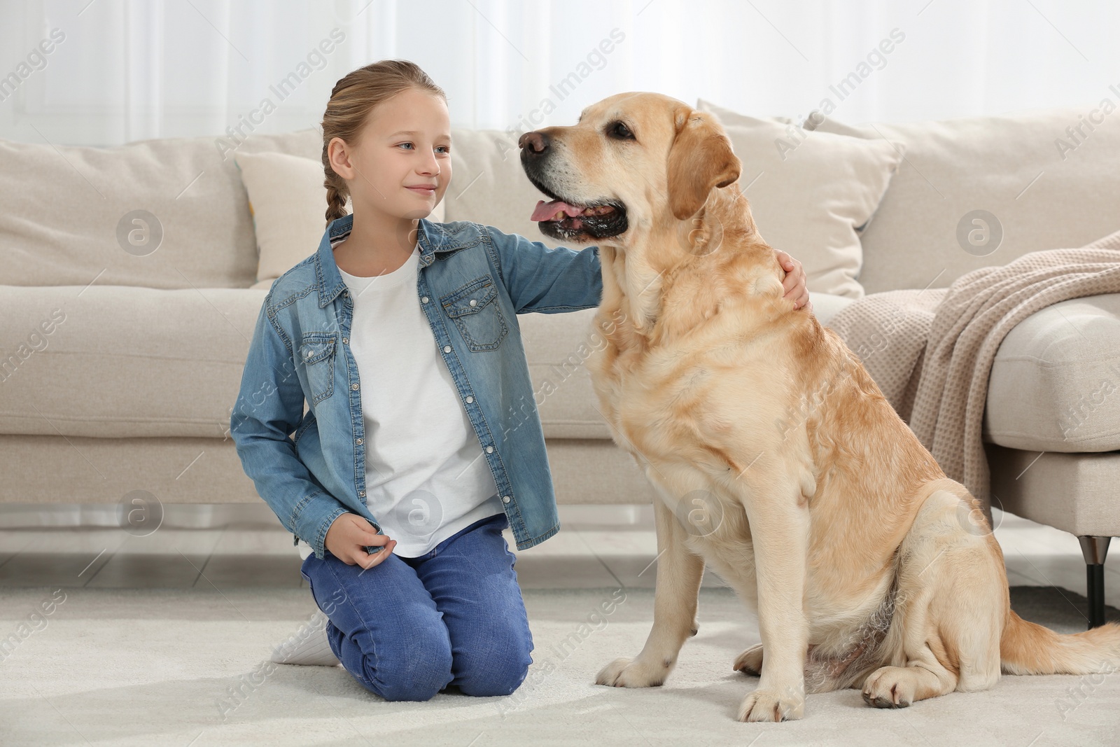 Photo of Cute child with her Labrador Retriever on floor at home. Adorable pet