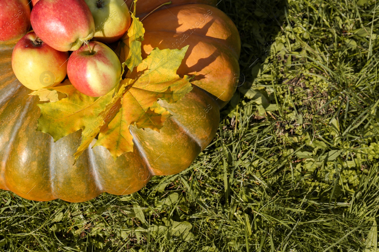 Photo of Ripe pumpkin, apples and maple leaves on green grass, flat lay with space for text. Autumn harvest