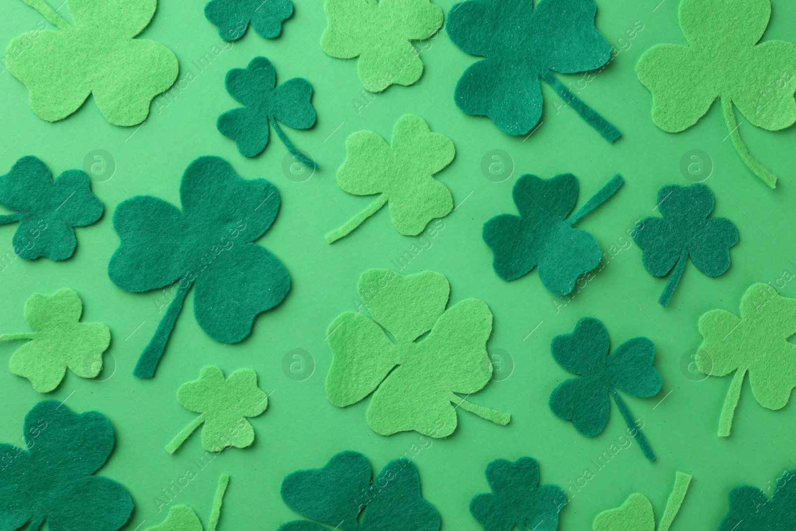 Photo of St. Patrick's day. Decorative clover leaves on green background, flat lay