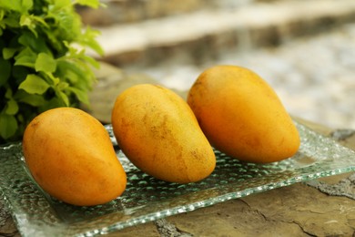Photo of Delicious ripe yellow mangos on plate outdoors