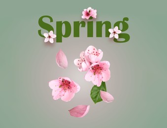 Spring. Beautiful pink flowers on color background