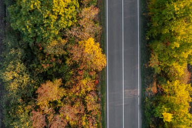 Image of Aerial view of beautiful forest and empty road. Autumn season