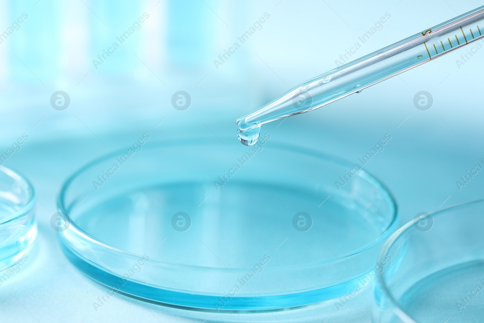 Photo of Dripping liquid from pipette into petri dish on blurred background, closeup. Laboratory analysis