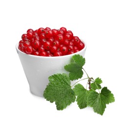 Tasty ripe redcurrants and green leaves in bowl isolated on white