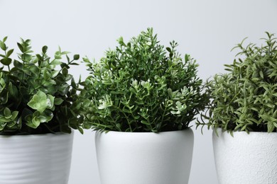 Photo of Different aromatic potted herbs on white background, closeup