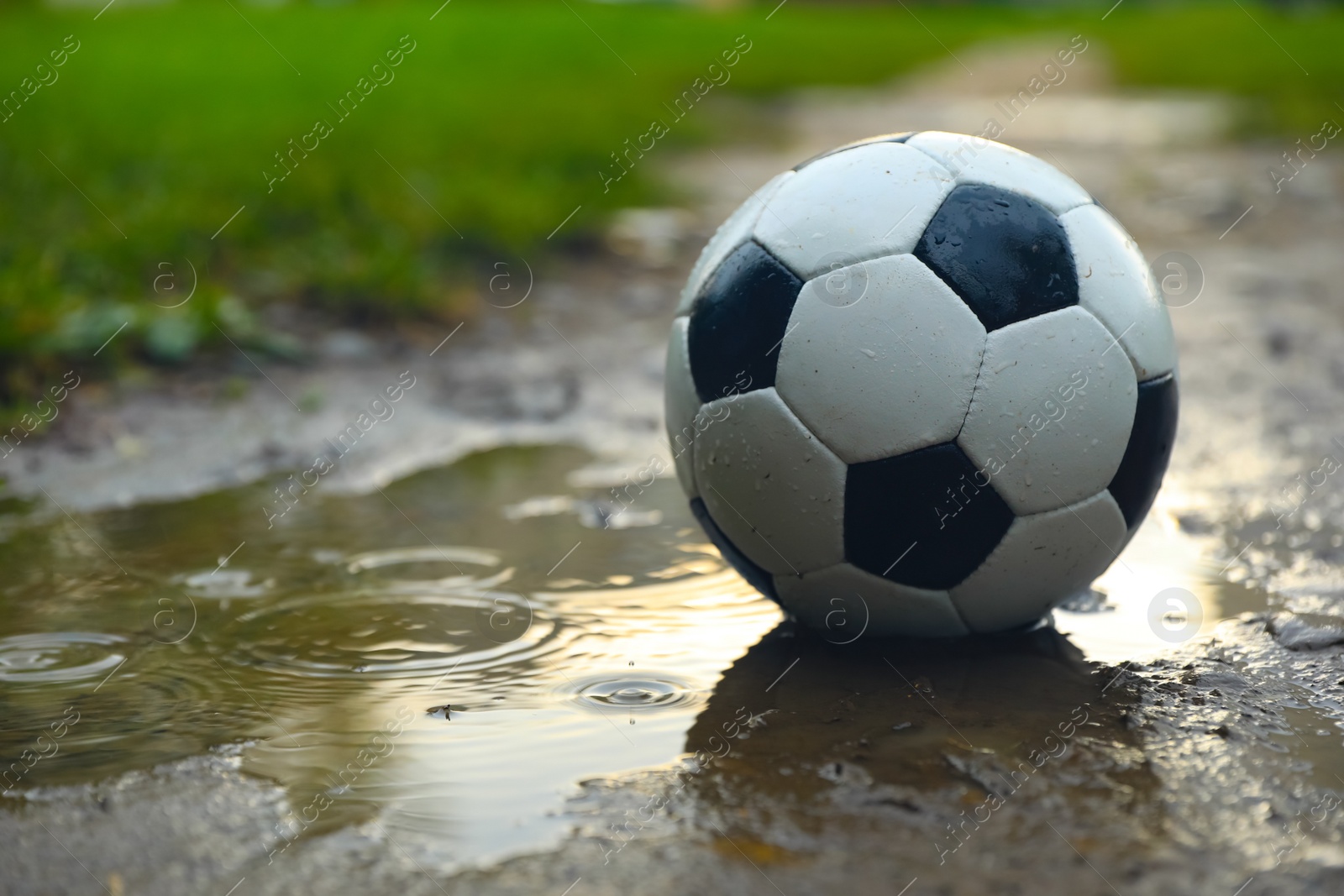 Photo of Leather soccer ball in puddle outdoors, space for text