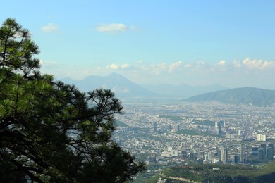 Photo of Picturesque view of spruce tree and city near big mountains