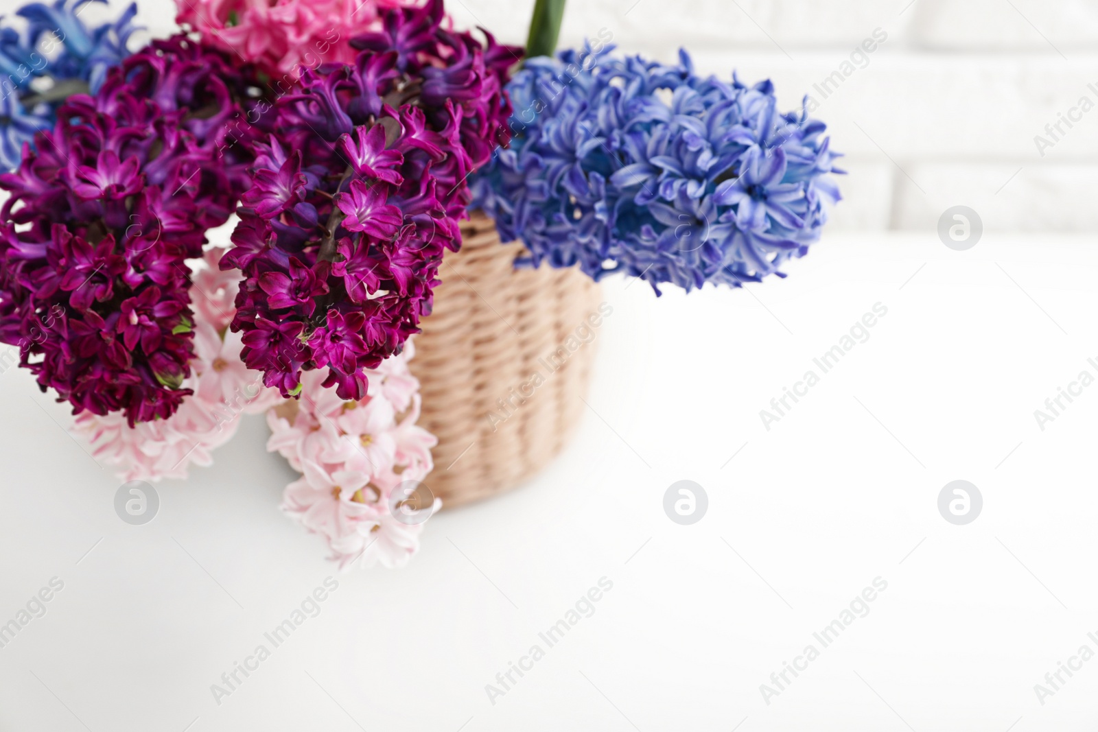 Photo of beautiful hyacinths in wicker pot on table, space for text. Spring flowers