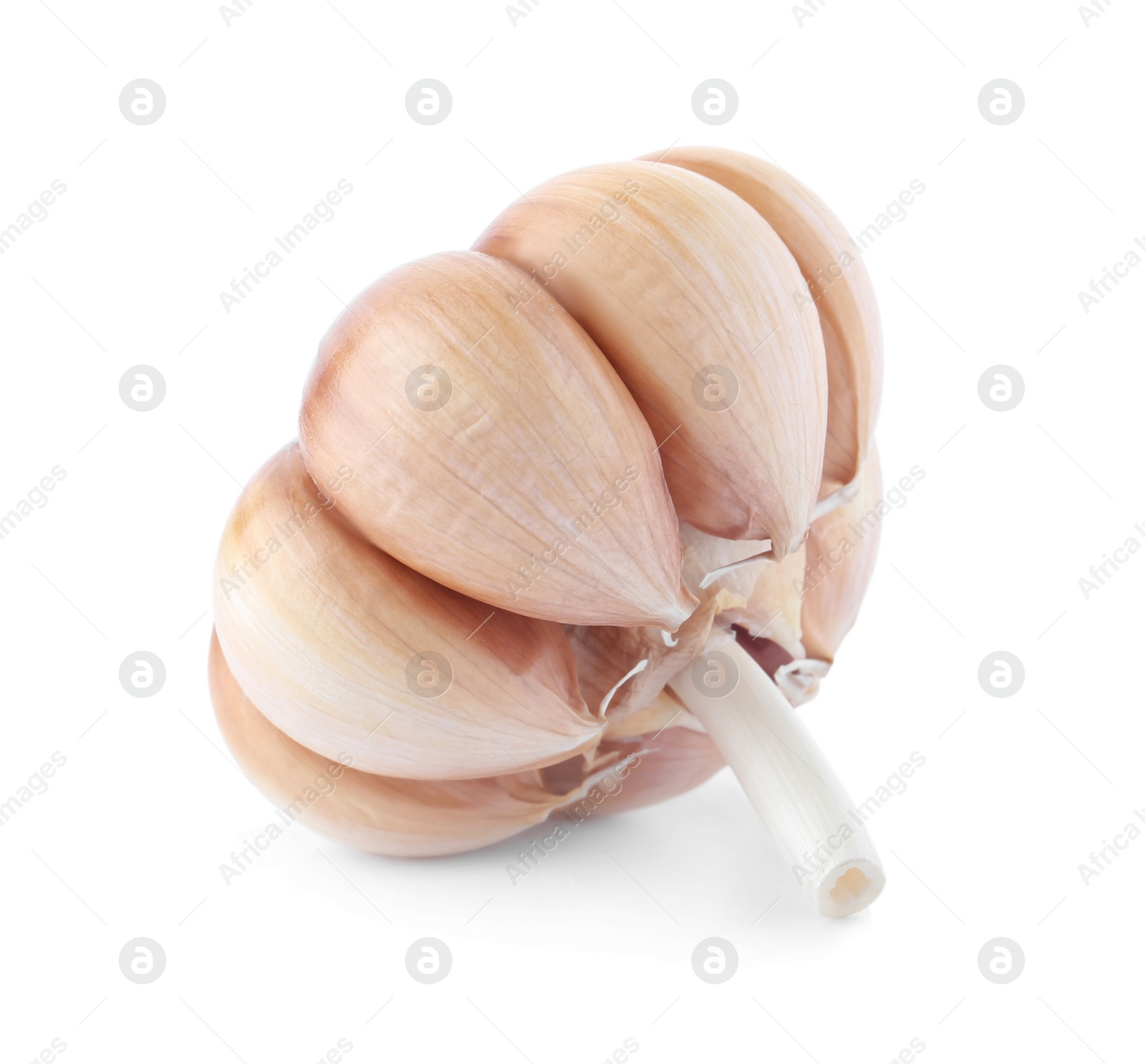 Photo of Fresh garlic on white background. Organic food