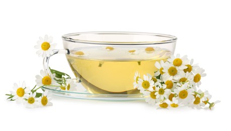 Aromatic herbal tea in glass cup and chamomiles isolated on white