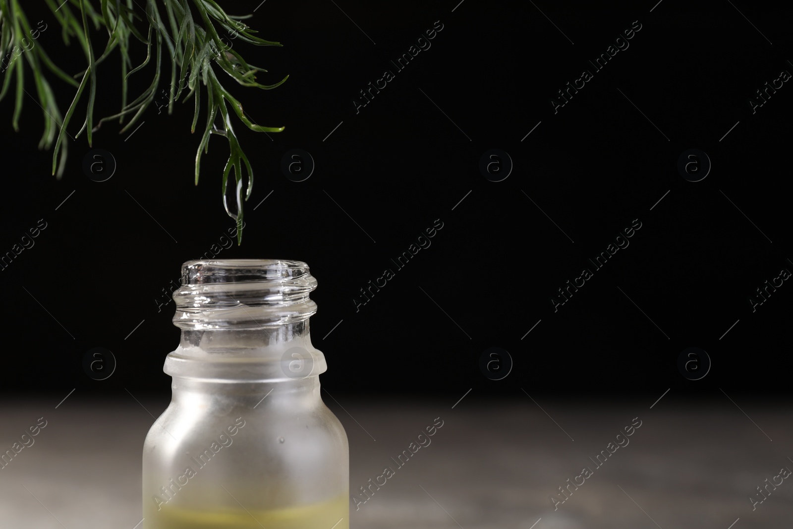 Photo of Dripping essential oil from dill into bottle against black background, closeup. Space for text