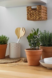 Photo of Different aromatic potted herbs on wooden table indoors