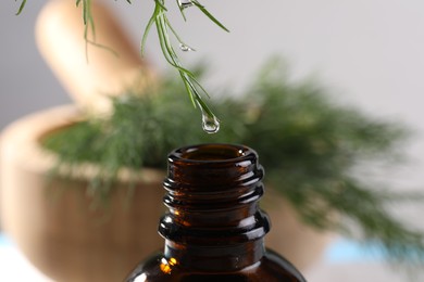 Photo of Dripping essential oil from dill into bottle on blurred background, closeup