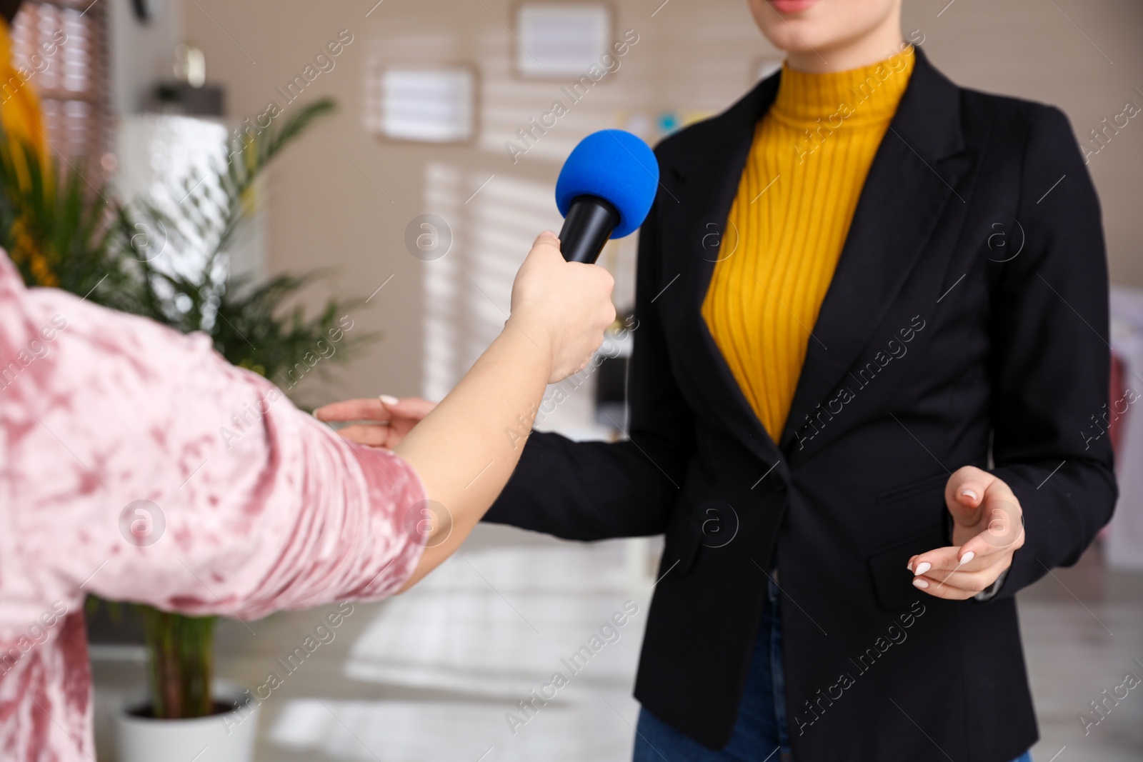 Photo of Professional journalist interviewing young woman in room, closeup