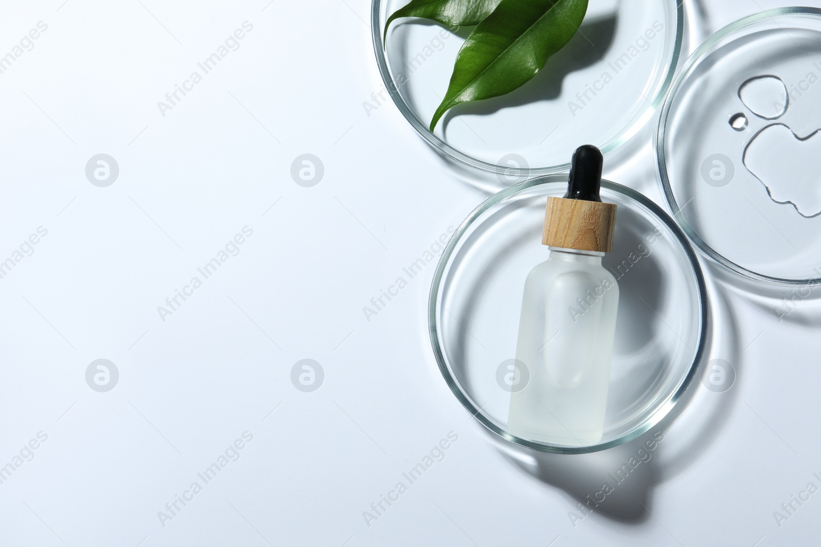 Photo of Petri dishes with sample, leaves and bottle on white background, top view