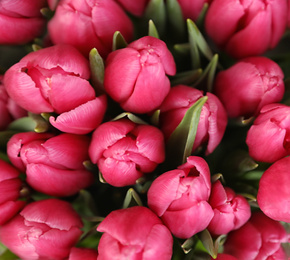 Photo of Beautiful bouquet of tulip flowers, closeup. Floral decor