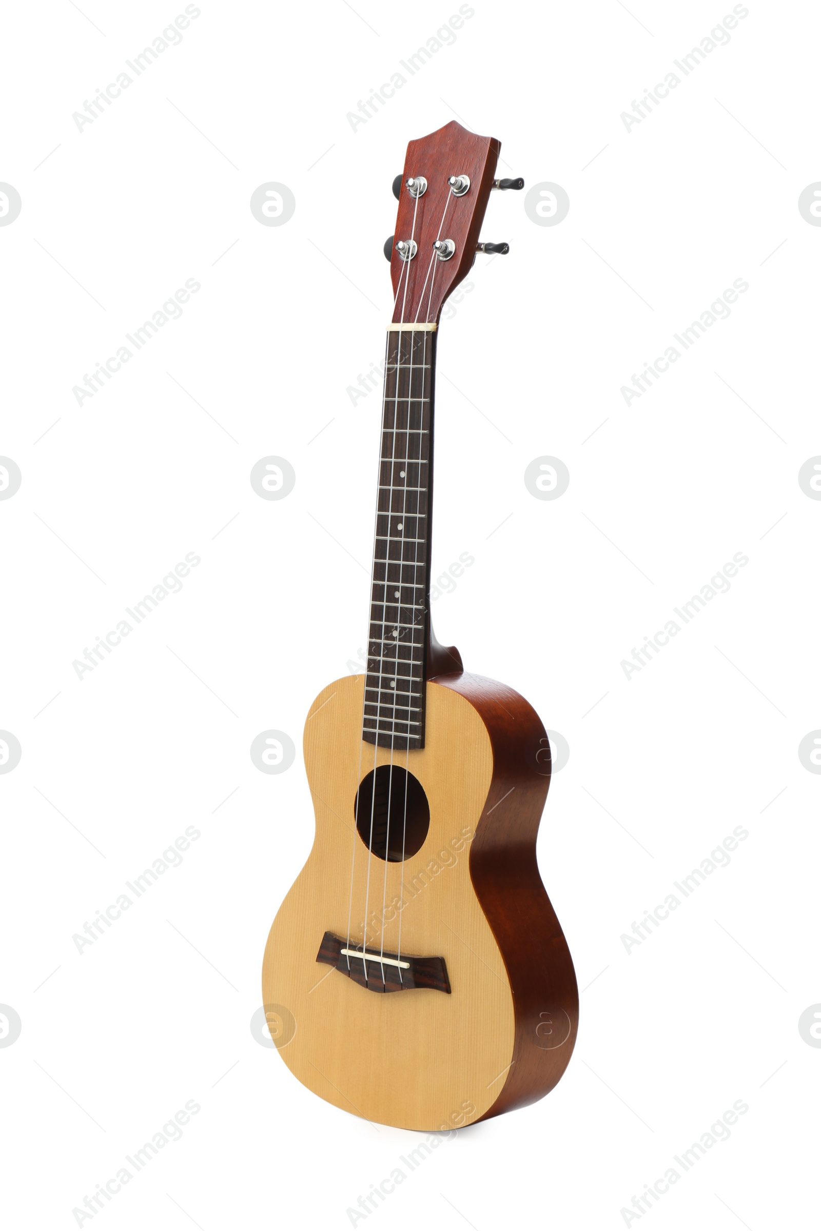 Photo of Ukulele isolated on white. String musical instrument