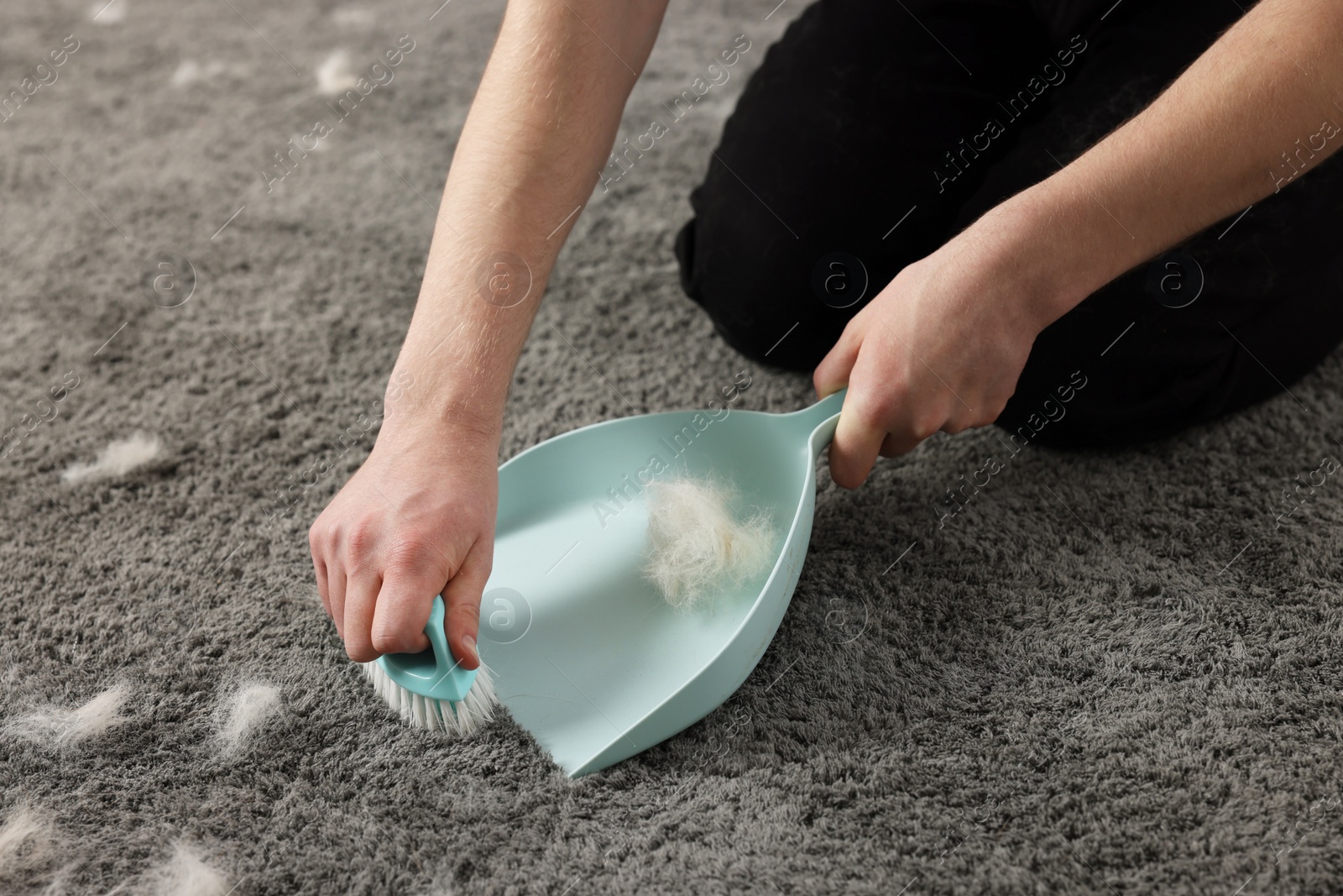 Photo of Man with brush and pan removing pet hair from carpet, closeup