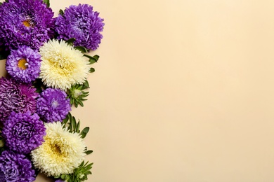 Beautiful asters and space for text on beige background, flat lay. Autumn flowers