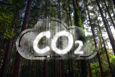 Concept of clear air. CO2 inscription in illustration of cloud with arrows and beautiful forest, low angle view