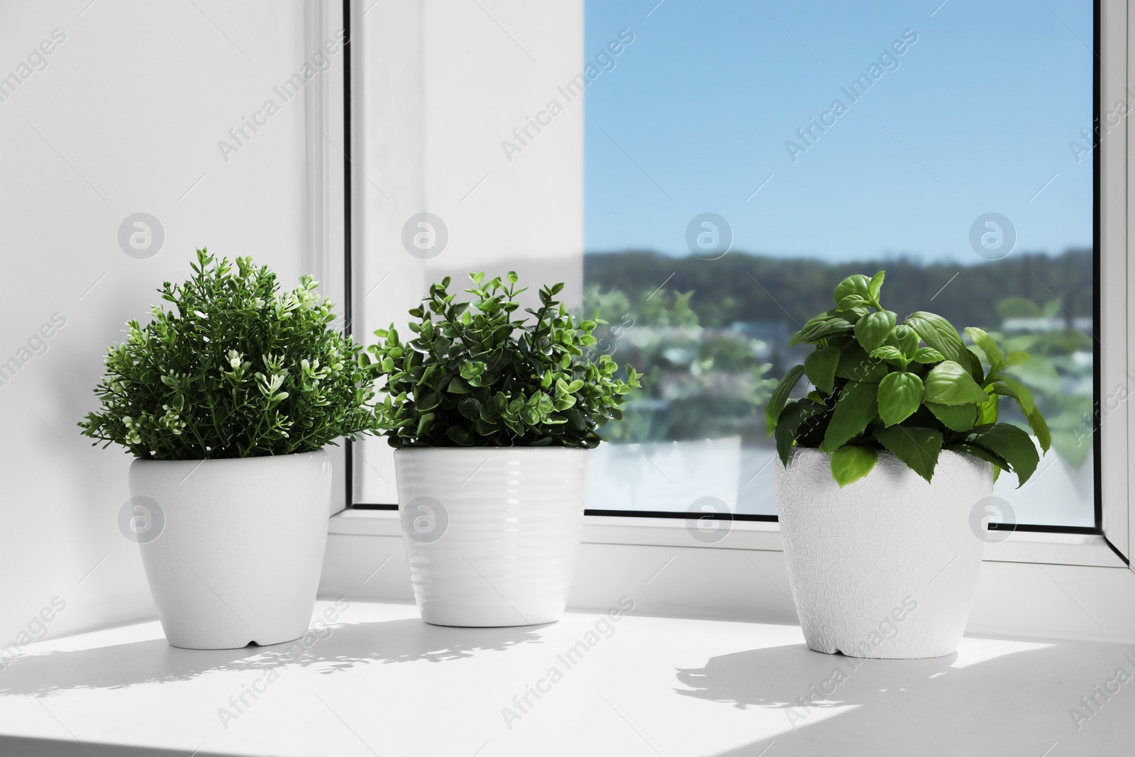 Photo of Artificial potted herbs on sunny day on windowsill indoors. Home decor