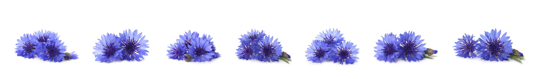 Image of Set with beautiful blue cornflowers on white background. Banner design