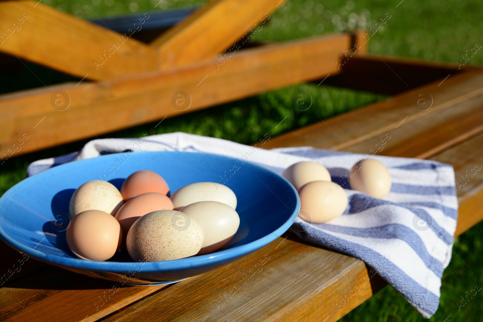 Photo of Plate and napkin with assorted eggs on wooden bench outdoors