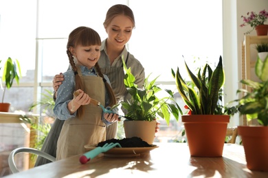 Mother and daughter taking care of home plants at table indoors, space for text