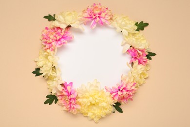 Frame of beautiful chrysanthemums on beige background, flat lay. Space for text