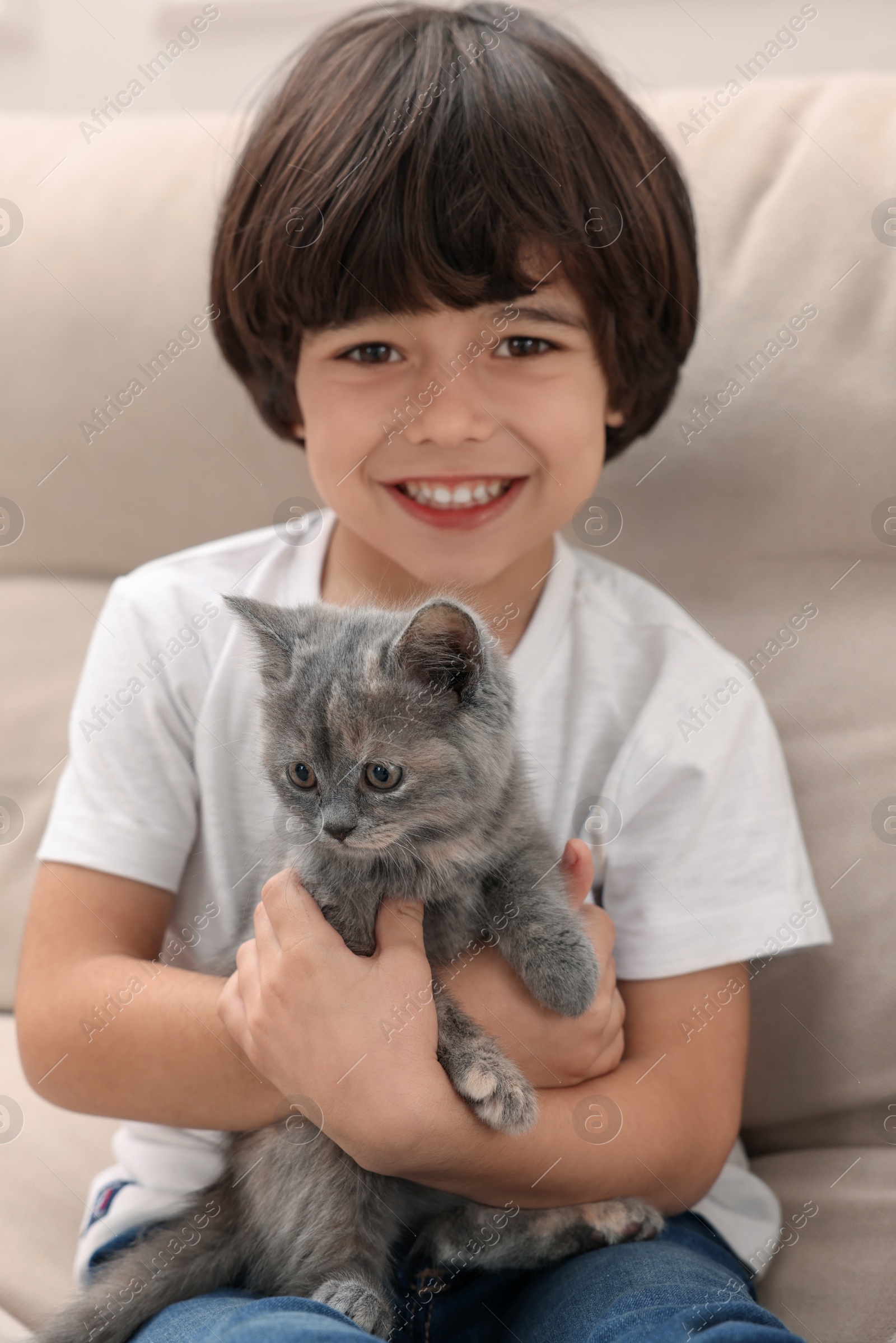 Photo of Cute little boy with kitten on sofa. Childhood pet