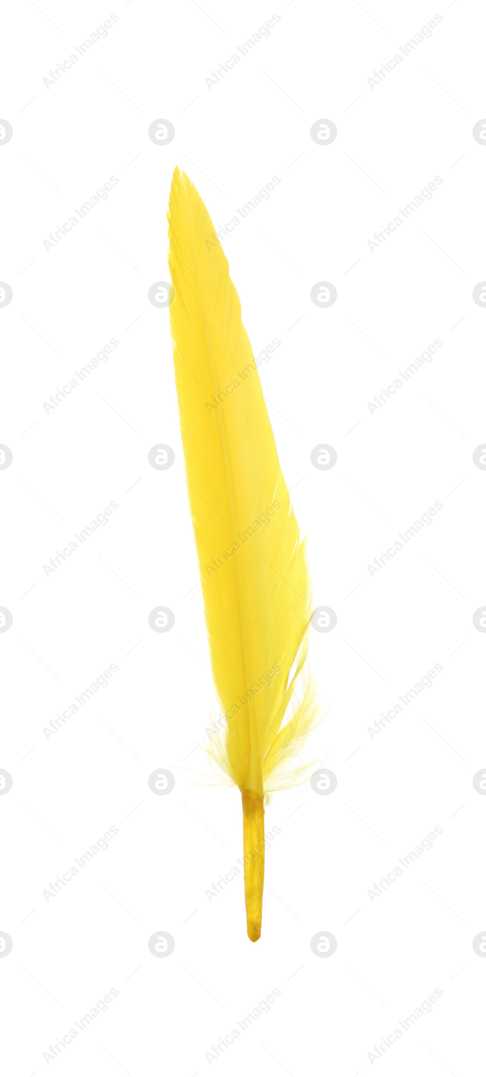 Photo of Fluffy beautiful yellow feather isolated on white