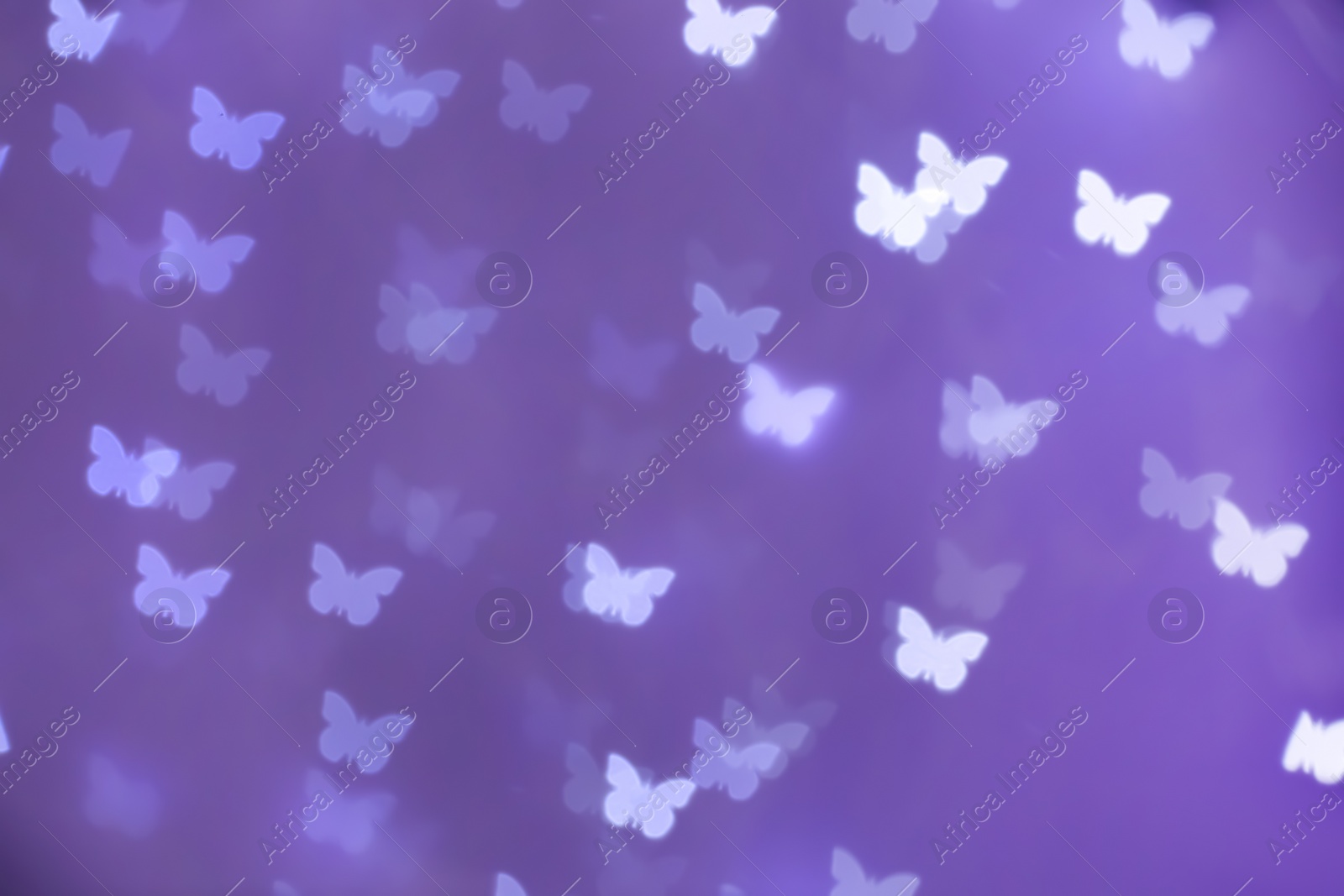 Photo of Beautiful butterfly shaped lights on purple background