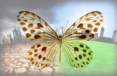 Double exposure of butterfly and conceptual image depicting Earth destroying by environmental pollution
