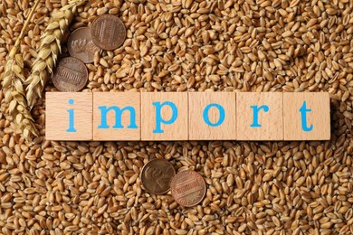 Word Import made of wooden cubes and coins on wheat grains, top view