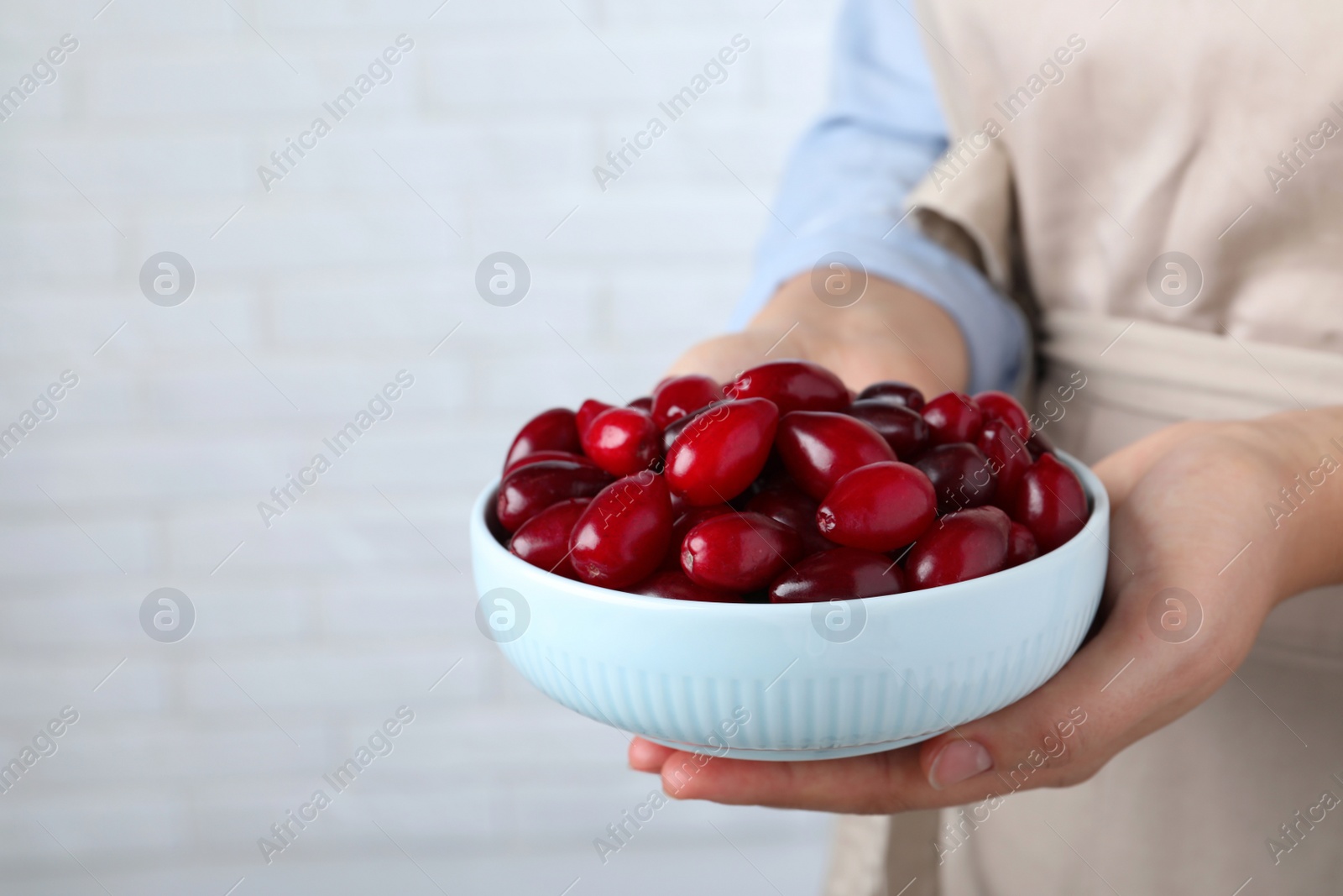 Photo of Woman with bowl of fresh ripe dogwood berries on light background, closeup. Space for text