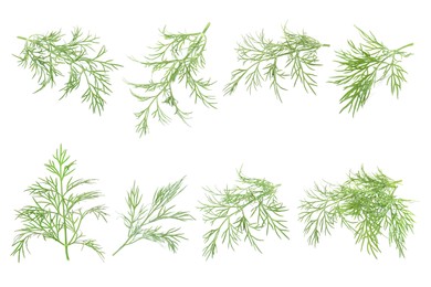 Image of Set of fresh dill isolated on white