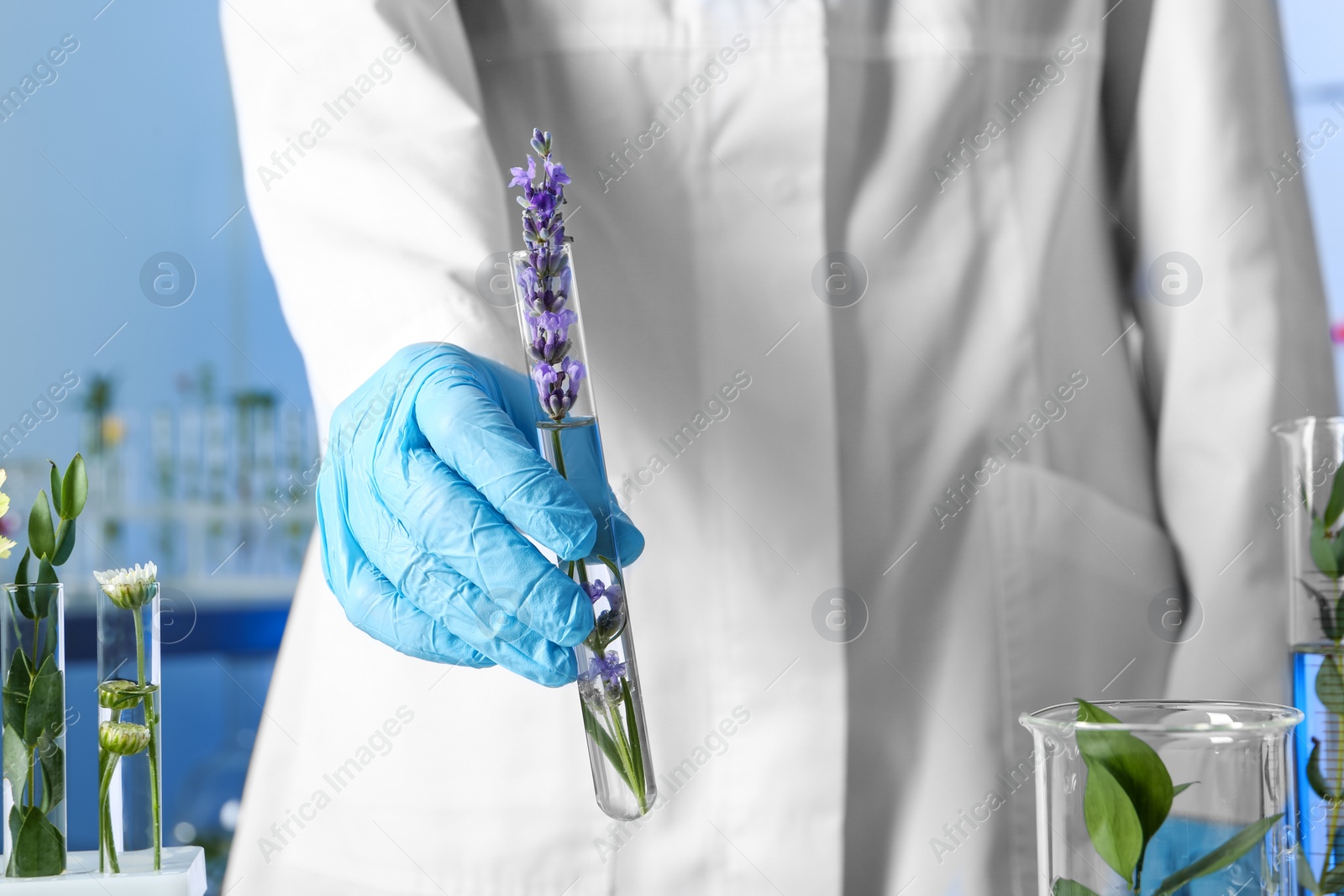 Photo of Scientist holding test tube with flower in laboratory, closeup