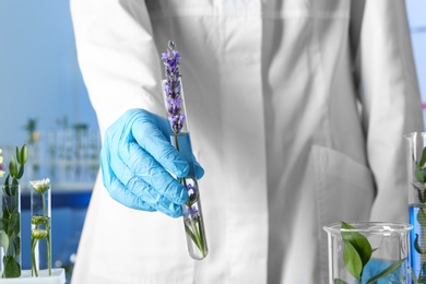 Photo of Scientist holding test tube with flower in laboratory, closeup