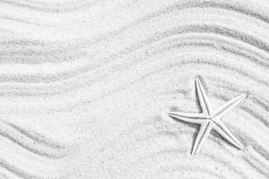 Starfish on beach sand with wave pattern, top view. Space for text