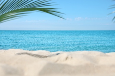 Sandy beach near sea on sunny day