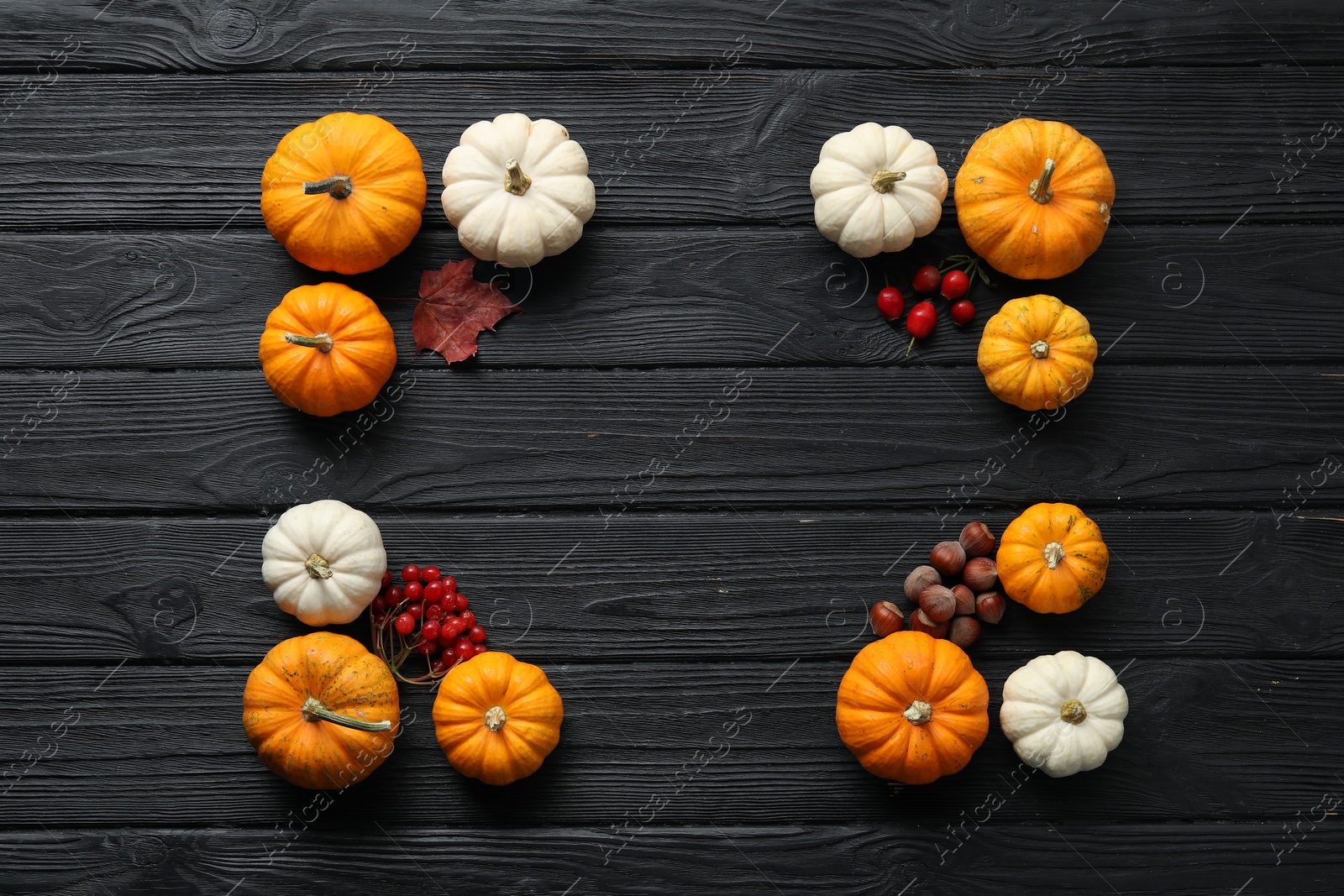 Photo of Thanksgiving day. Flat lay composition with pumpkins on black wooden table, space for text