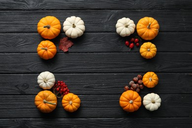 Thanksgiving day. Flat lay composition with pumpkins on black wooden table, space for text