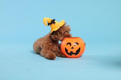 Happy Halloween. Cute Maltipoo dog with decorated hat and pumpkin treat bucket on light blue background