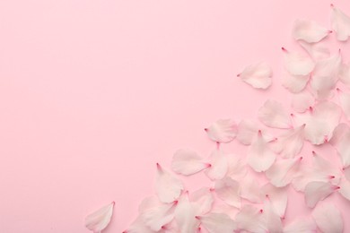 Photo of Beautiful spring blossoms petals on pink background, flat lay. Space for text